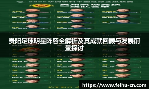 贵阳足球明星阵容全解析及其成就回顾与发展前景探讨